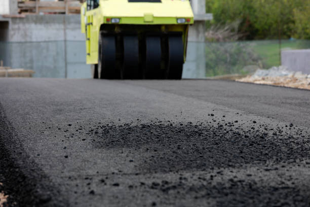 Best Driveway Pavers Contractor  in Grifton, NC