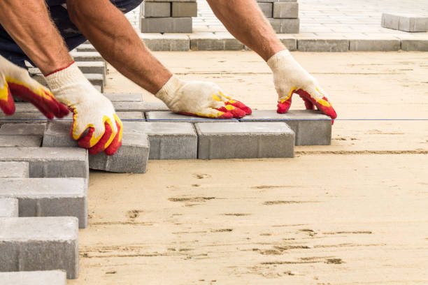 Best Local Driveway Pavers  in Grifton, NC