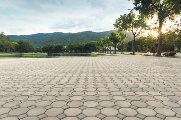 Best Interlocking Driveway Pavers  in Grifton, NC